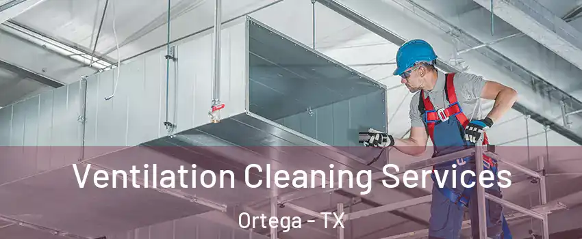 Ventilation Cleaning Services Ortega - TX