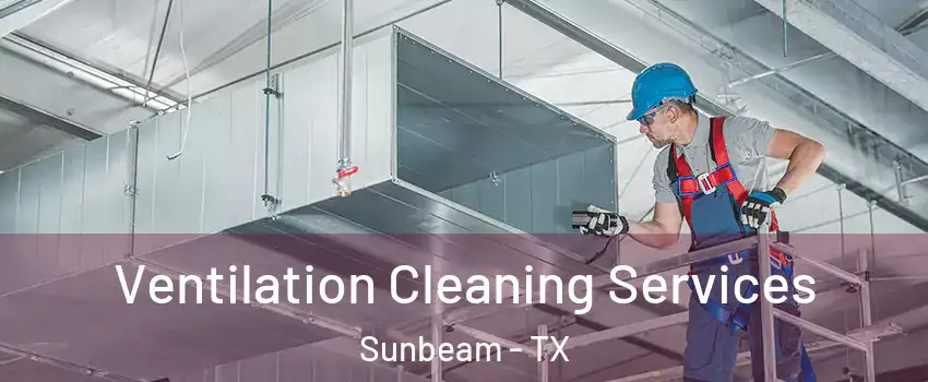 Ventilation Cleaning Services Sunbeam - TX