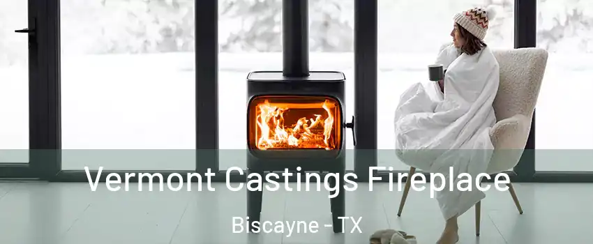 Vermont Castings Fireplace Biscayne - TX