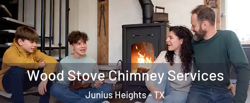 Wood Stove Chimney Services Junius Heights - TX