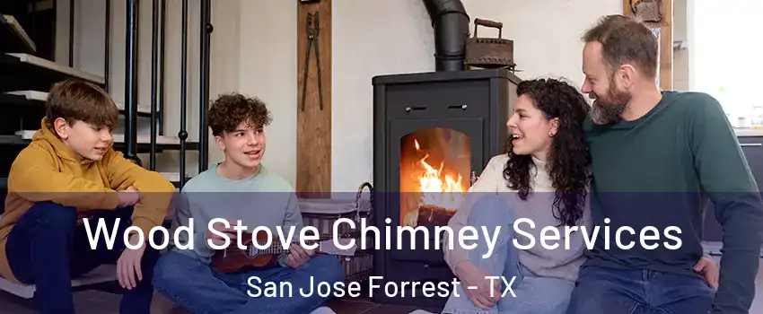 Wood Stove Chimney Services San Jose Forrest - TX