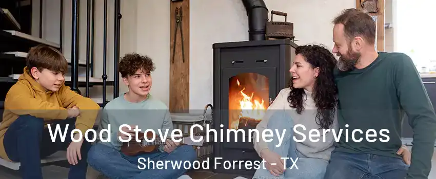 Wood Stove Chimney Services Sherwood Forrest - TX
