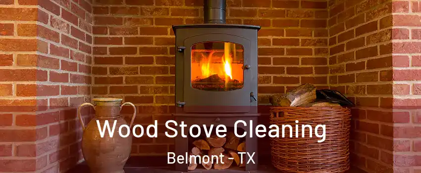 Wood Stove Cleaning Belmont - TX