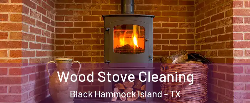 Wood Stove Cleaning Black Hammock Island - TX
