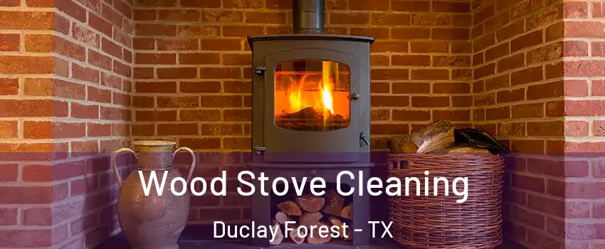 Wood Stove Cleaning Duclay Forest - TX