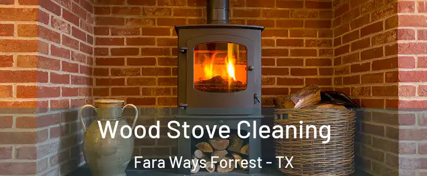 Wood Stove Cleaning Fara Ways Forrest - TX