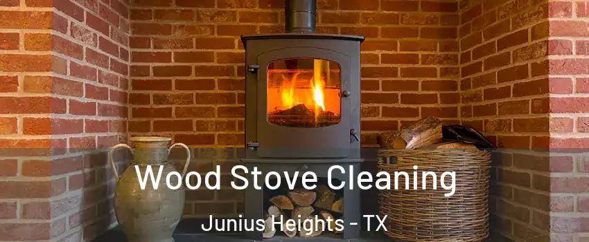 Wood Stove Cleaning Junius Heights - TX