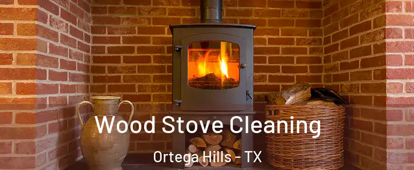 Wood Stove Cleaning Ortega Hills - TX