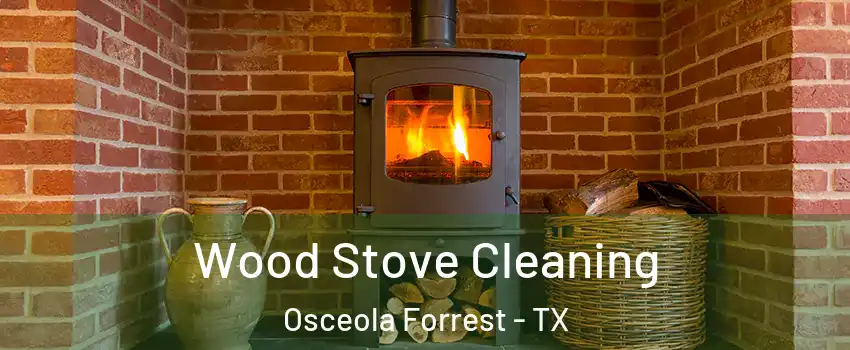 Wood Stove Cleaning Osceola Forrest - TX