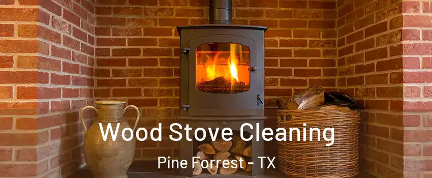 Wood Stove Cleaning Pine Forrest - TX