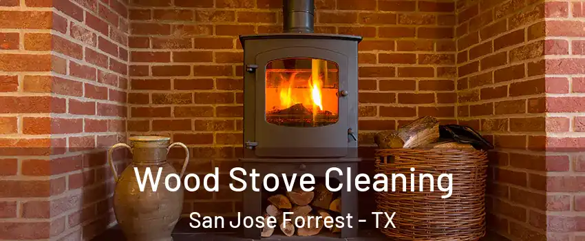 Wood Stove Cleaning San Jose Forrest - TX