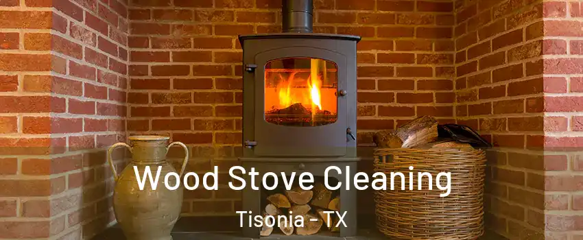 Wood Stove Cleaning Tisonia - TX