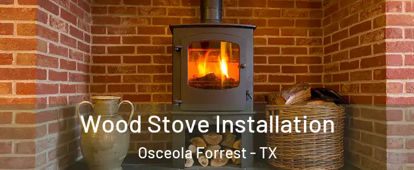 Wood Stove Installation Osceola Forrest - TX