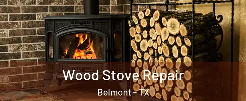Wood Stove Repair Belmont - TX