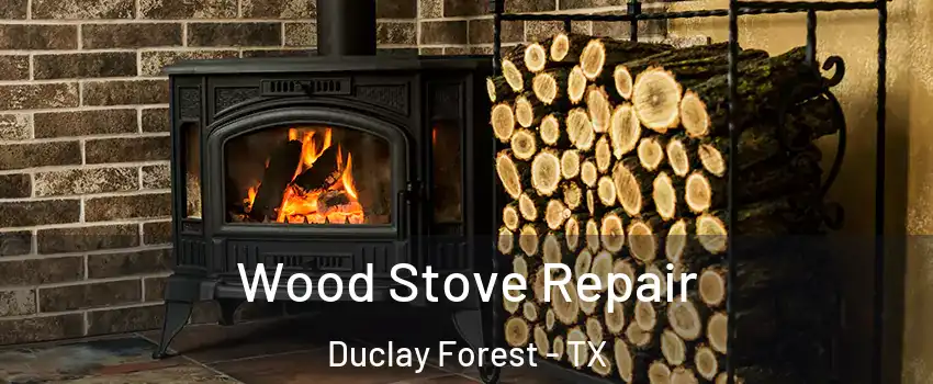 Wood Stove Repair Duclay Forest - TX