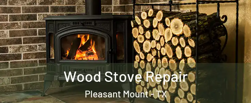 Wood Stove Repair Pleasant Mount - TX